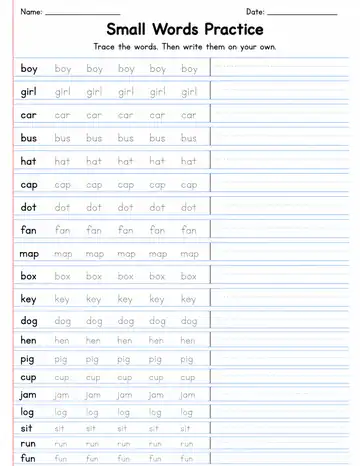 Small Words Practice 2 printable worksheet preview